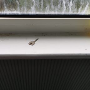 Deep Cleaning Bush Hill N21